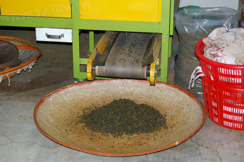 鹿谷農會比賽茶製茶流程之乾燥二